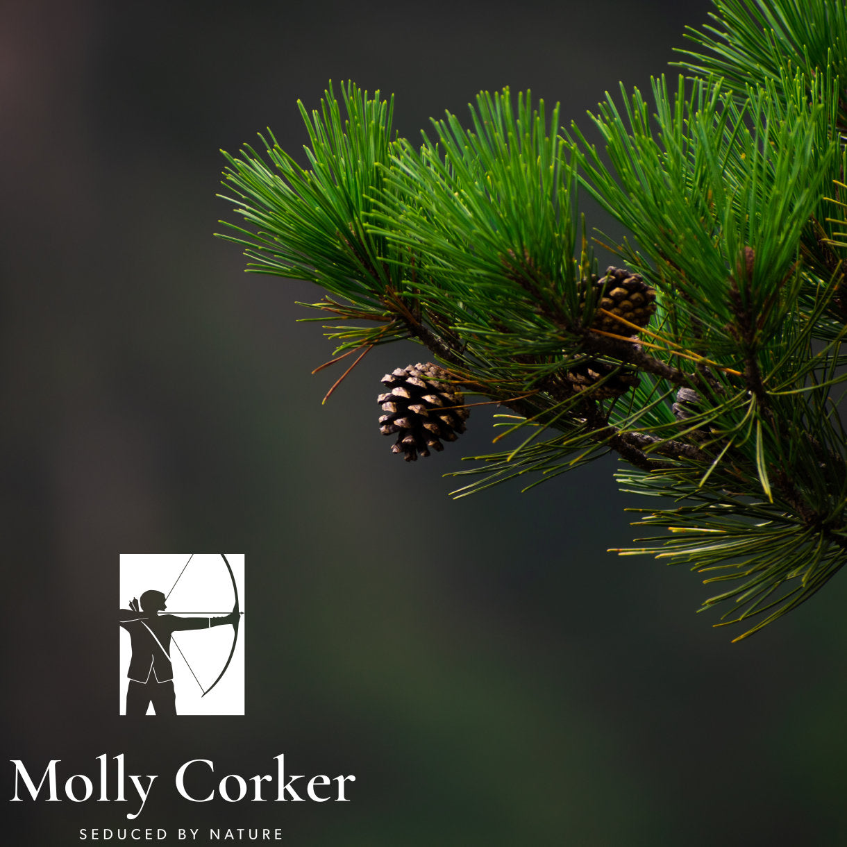 Molly Corker natūralus dezodorantas PIONER extra strenght
