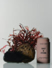 salt and stone dezodorantas jautriai odai bergamot&hinoki j