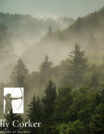 Color,Image,Of,The,Clouds,Flowing,Through,The,Pine,Trees